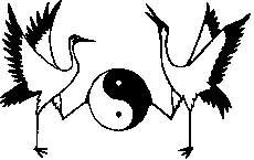 Tai Chi Youth logo 1996