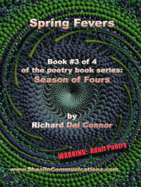 Kung Fu Cowboy Level 4 book cover